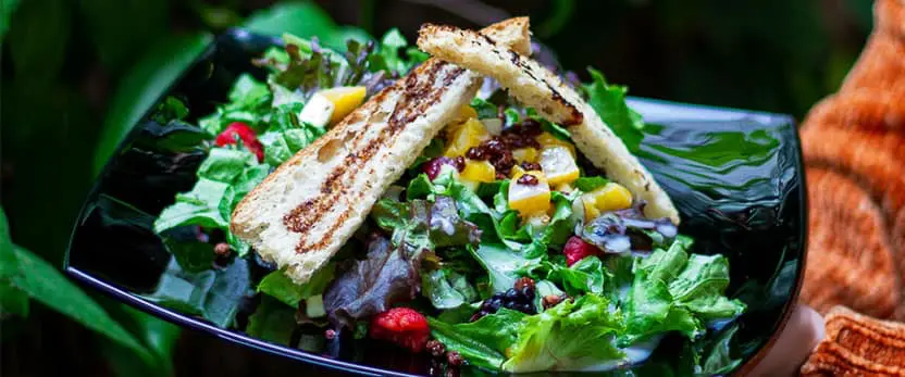 se muestra el platillo Insalata di stagioni